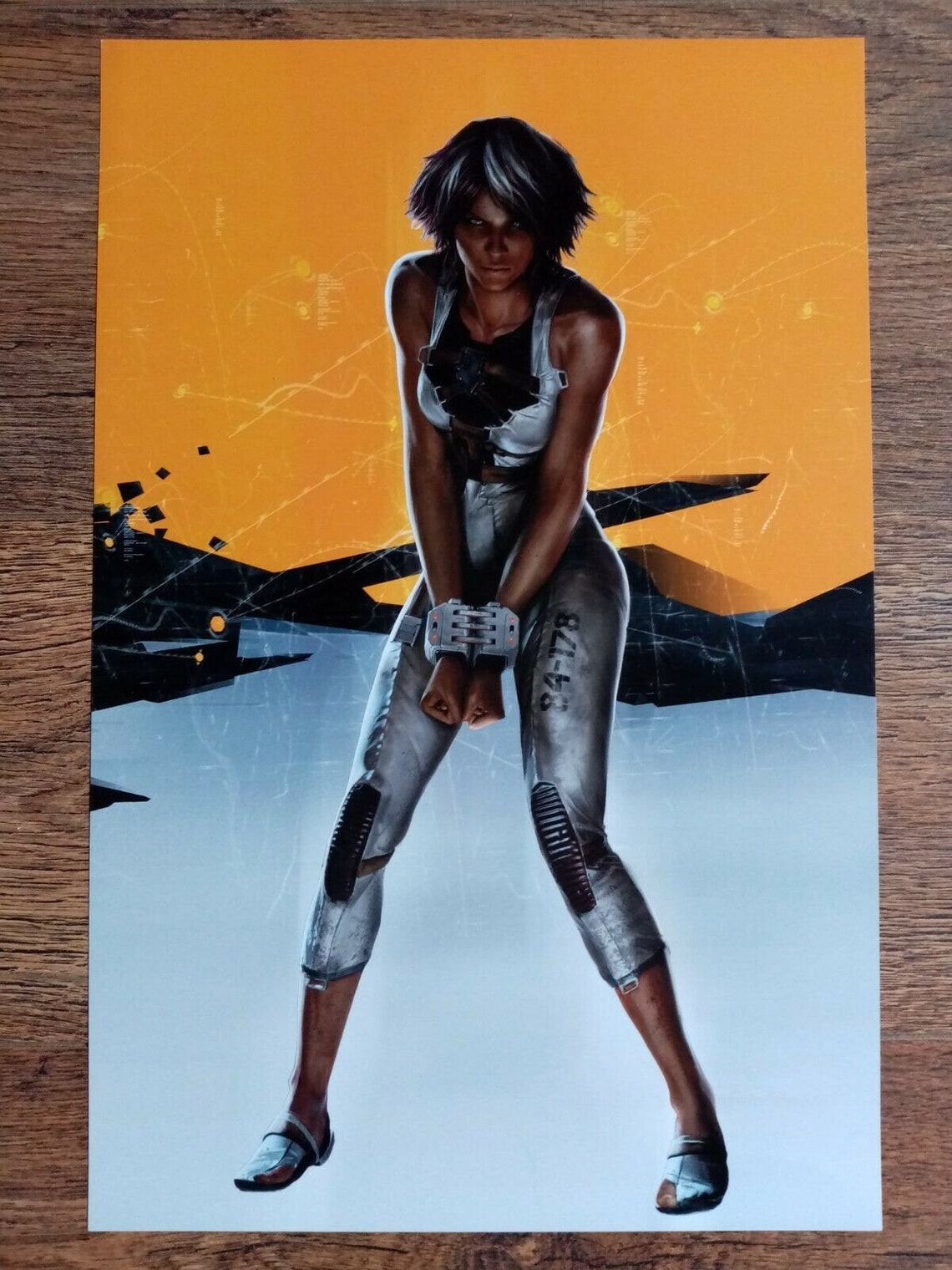 Remember Me / Nilin / Caught / Video Game Display Poster Etsy UK