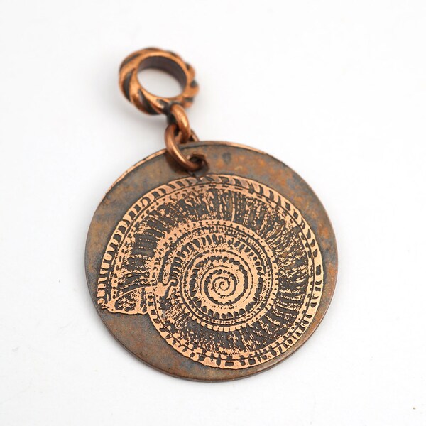 Flat Spiral Shells Etsy