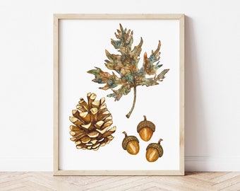Fall, Acorn, Pinecone, Leaves, Watercolor Print Wall, Art, Autumn Decor, Rustic, Fall Print, Fall Farmhouse Decor, Thanksgiving Host Gift