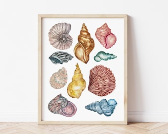 Seashell Watercolor Wall Art Print, Coastal Seashell Painting, Beach Cottage House Decor, Colorful Coastal Wall Art, Ocean Nautical, Shells