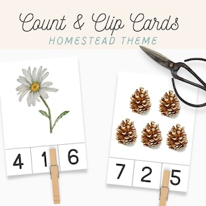 Count & Clip, Tarjetas flash numéricas, Tarjetas preescolares de acuarela Nature Homestead Homeschool, Cesta de la mañana, Charlotte Mason, Actividad de conteo