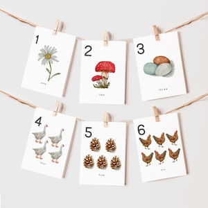 Tarjetas flash numéricas imprimibles, tarjetas preescolares de la escuela en casa de la naturaleza de la acuarela, cesta de la mañana, estudio de Charlotte Mason, decoración del aula