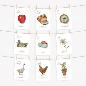 Tarjetas del alfabeto ABC imprimibles, tarjetas preescolares de la escuela en casa de la naturaleza de la acuarela, cesta de la mañana, estudio de Charlotte Mason, decoración del aula