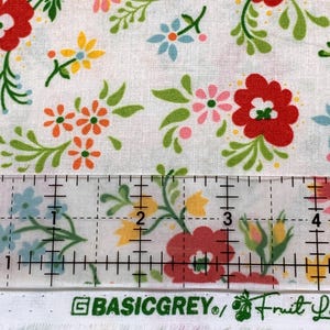 In Season Florals Jicama Cotton Fabric - Fruit Loop - BasicGrey - 30731 11 Moda - sold by the yard