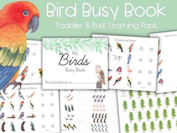 Birds Busy Book Nature Study Activity Learning Binder