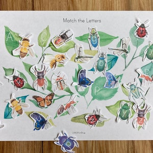 Página de cuaderno con actividades para unir letras del alfabeto - Actividad de naturaleza: Insecto, mariposa, hoja - Jardín de infantes, preescolar, niño pequeño, Montessori, VERANO