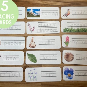 Spring Writing Practice Tracing Cards - Toddler Preschool Kindergarten Montessori Busy Bag Activity - Handwriting - Flowers Birds Nature