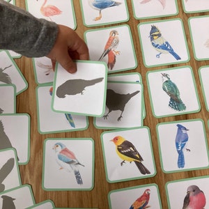 Cartões de correspondência de sombra de pássaros - Atividade de bolsa de atividades - Estudo da natureza para crianças em idade pré-escolar, jardim de infância - Jogo de memória de primavera Montessori Charlotte Mason