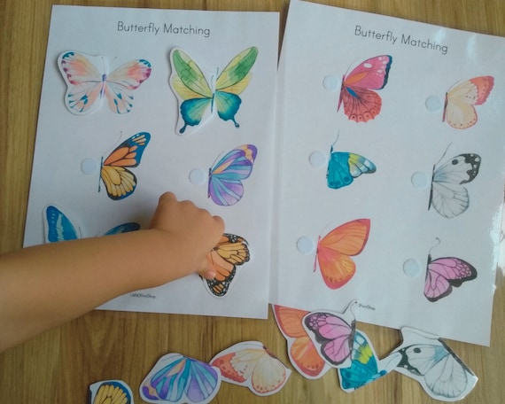 Butterfly Symmetry Match - Preschool Printable Busy Binder - Montessori Nature Study - Toddler Unit Study - Homeschool - Kindergarten Bugs