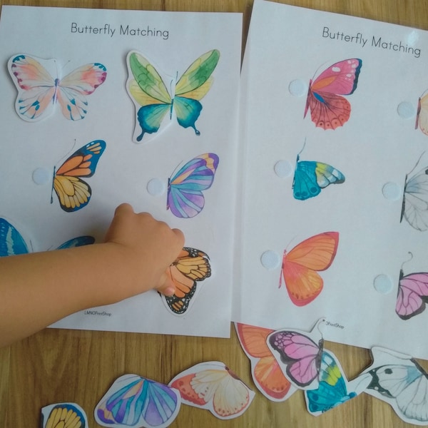 Butterfly Symmetry Match - Preschool Printable Busy Binder - Montessori Nature Study - Toddler Unit Study - Homeschool - Kindergarten Bugs