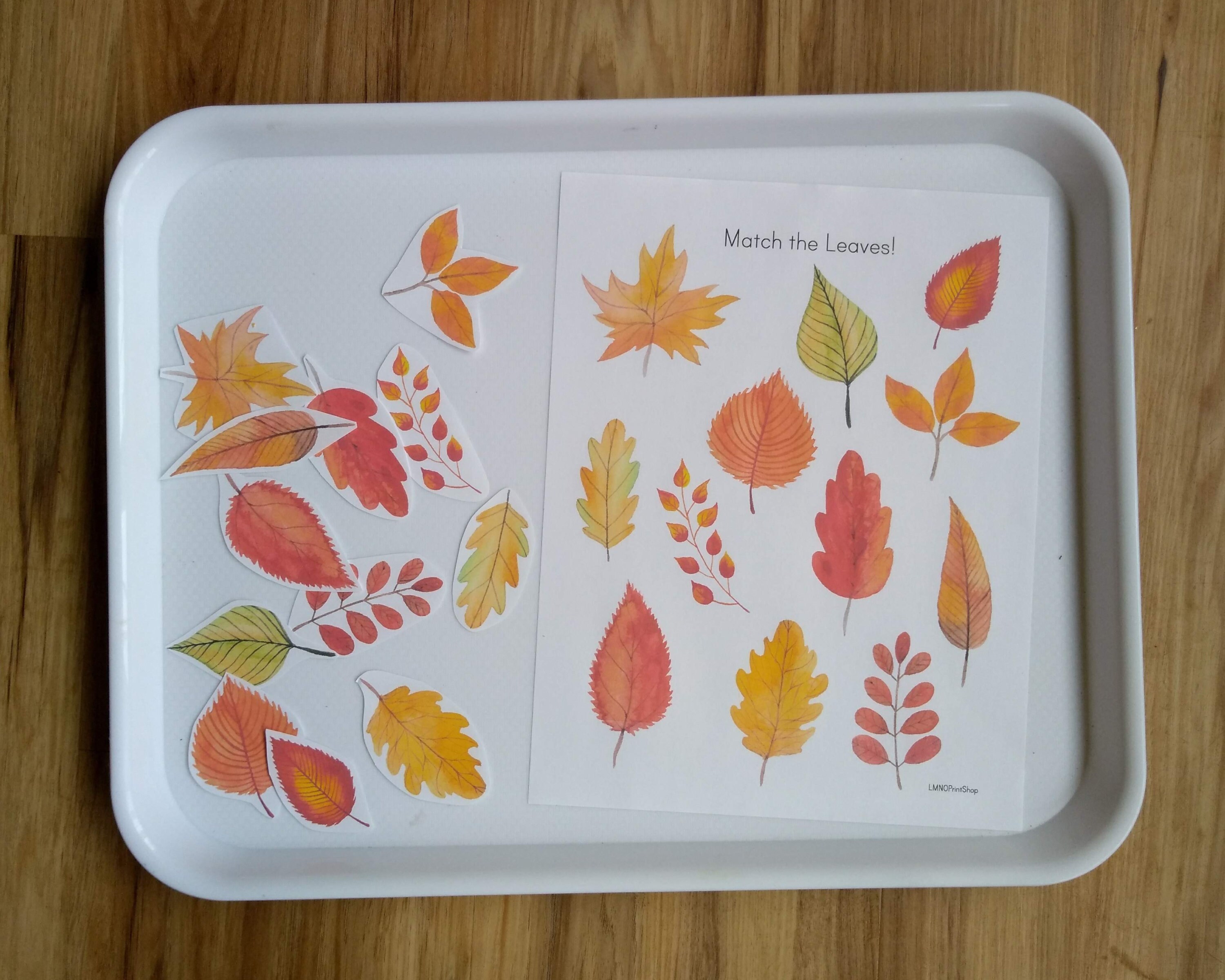 Fall Learning Binder - Preschool Printable Busy Book - Autumn ...