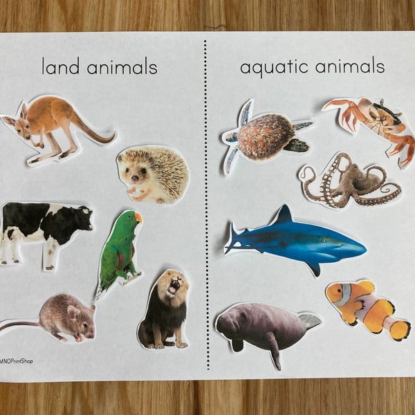 Land Animals Ocean Aquatic Mammals Birds Fish Sorting - Life Skills - Toddler Preschool Nature Study - Montessori Busy Book Binder Activity