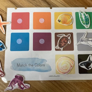 Ocean Color Matching - Summer Busy Book - Sea Fish Nature Study - Preschool Toddler Printable Activity - Learning Game - Daycare Montessori