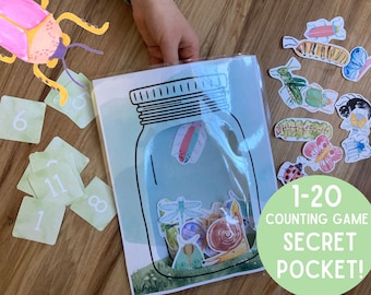 Bugs Number Counting Mat Game - 1-20 Busy Bag Activity - Preschool Toddler Kindergarten - Spring Summer Nature Study - Insects Butterfly