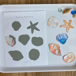 May include: A white tray with a sheet of paper that says "Shadow Matching" with gray outlines of various sea creatures.  There are cutouts of a starfish, seashells, and a sand dollar on the tray.