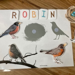 Spring Robin Shadow Matching - Busy Book Binder Activity - Toddler Preschool Kindergarten - Nature Homeschool Montessori Nature Study PRINT