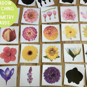 Ensemble de cartes assorties et symétrie ombre fleur - activité Montessori - nature printemps été - sciences préscolaires - unité d'étude école à la maison