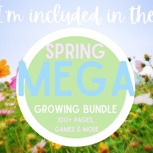 Early Spring Flowers MATCHING Busy Book Learning Binder Activity Page ...