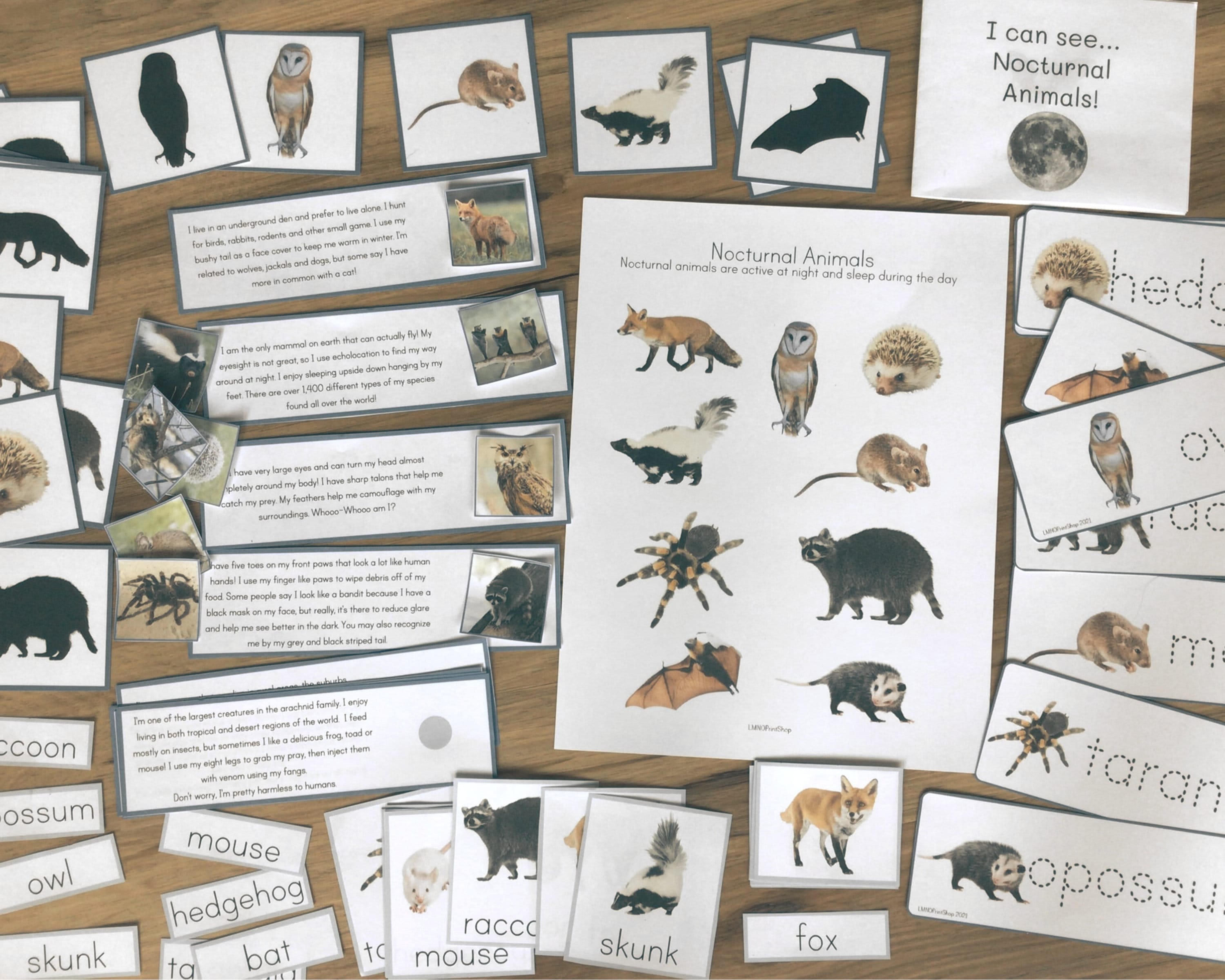 Nocturnal Animals - Etsy Nocturnal Animals - Etsy