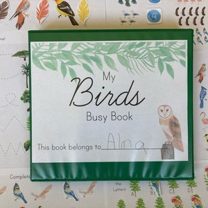 Birds Busy Book - Nature Study Activity - Learning Binder Tracing Numbers  - Spring Summer - Charlotte Mason Montessori - Counting Letters