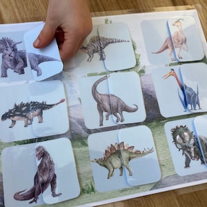 May include: A set of 10 blue and white cards featuring watercolor illustrations of different dinosaurs. The cards are arranged in a grid pattern on a green and brown background. The text "LMNDPY Shop" is printed in the bottom right corner.