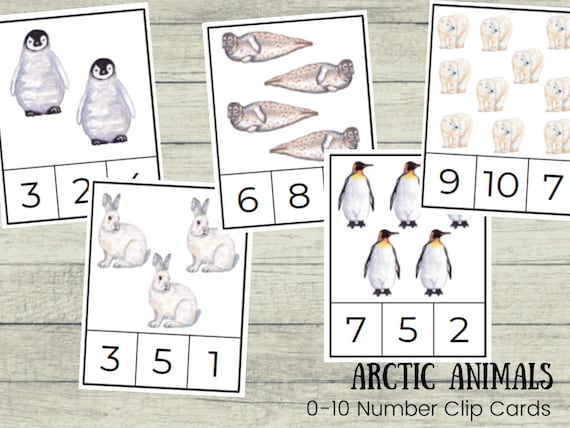 Arctic Animals 0-10 Number Clip Cards Toddler Preschool
