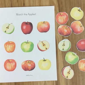 Apfel Passendes Belegtes Buch Vorschule Druckbare - Herbst Herbst - Montessori Aktivität - Kleinkind Lernmappe - Natur Einheit Studie - Farbsortierung