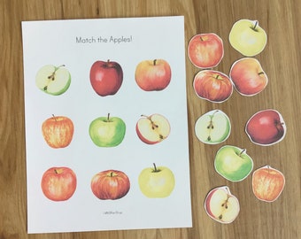 Apple Matching Busy Book Preschool Printable - Fall Autumn - Montessori Activity - Toddler Learning Binder - Nature Unit Study - Color Sort