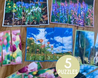 Può includere: Cinque diversi puzzle con pezzi numerati. I puzzle mostrano immagini di fiori, un cielo blu e un campo di fiori. I puzzle sono etichettati con il numero 5 e la parola "PUZZLES".