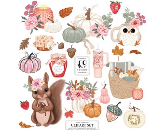 CozyFall Clipart set, Digital download, printable art, pink, orange, floral, pumpkin, fall, summer, owl, squirrel