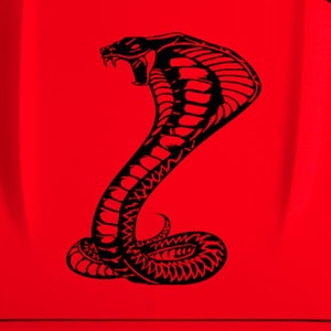 Clausen&#39;s World - Cobra Vinyl Decal 20&quot; x 35.75&quot; Racing Stripes - Compatible with Mustang, Shelby, Cobra