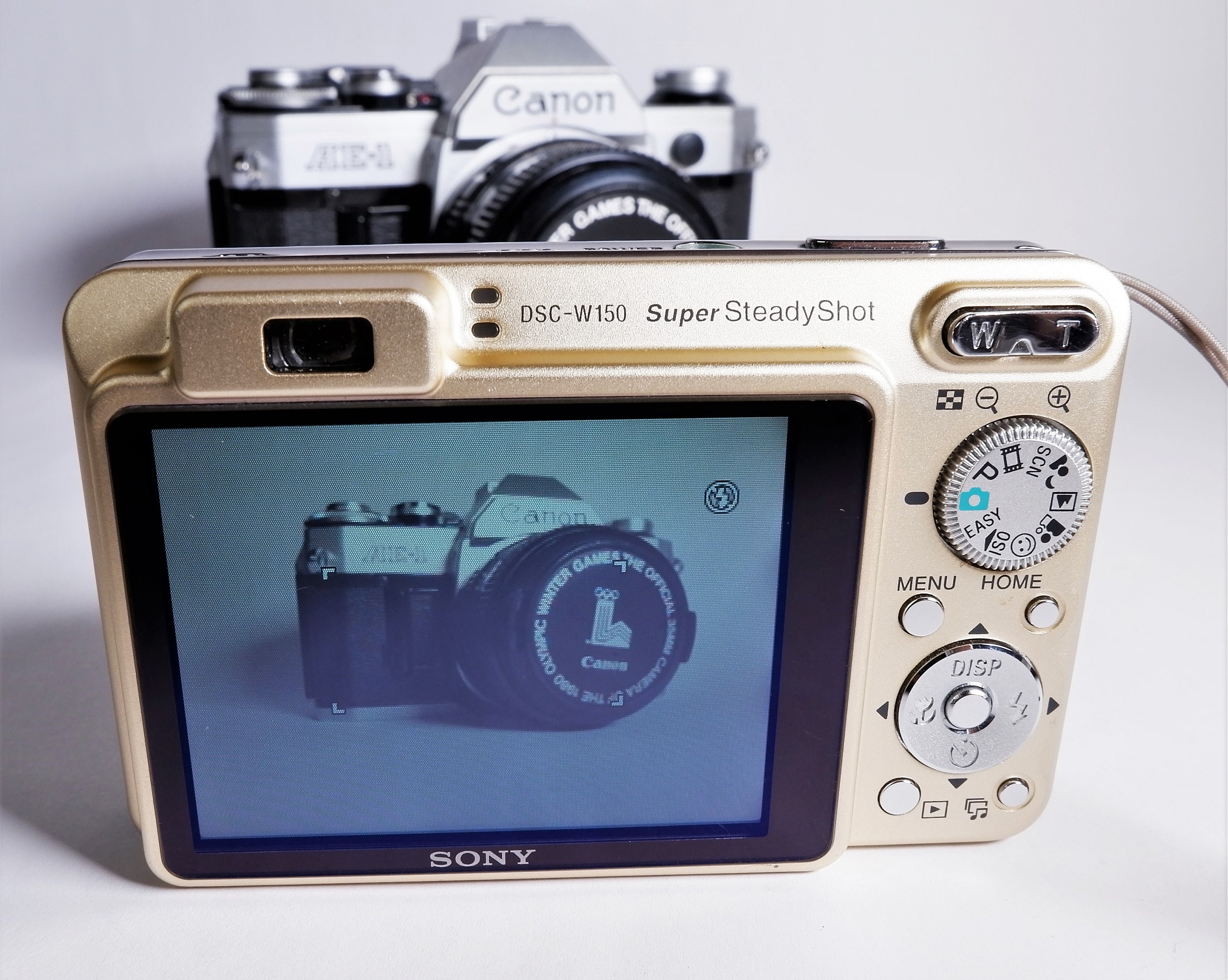 Sony Cybershot DSCW150 Digital Camera with Carl Zeiss VarioTessar 5X Zoom Lens Sony Battery