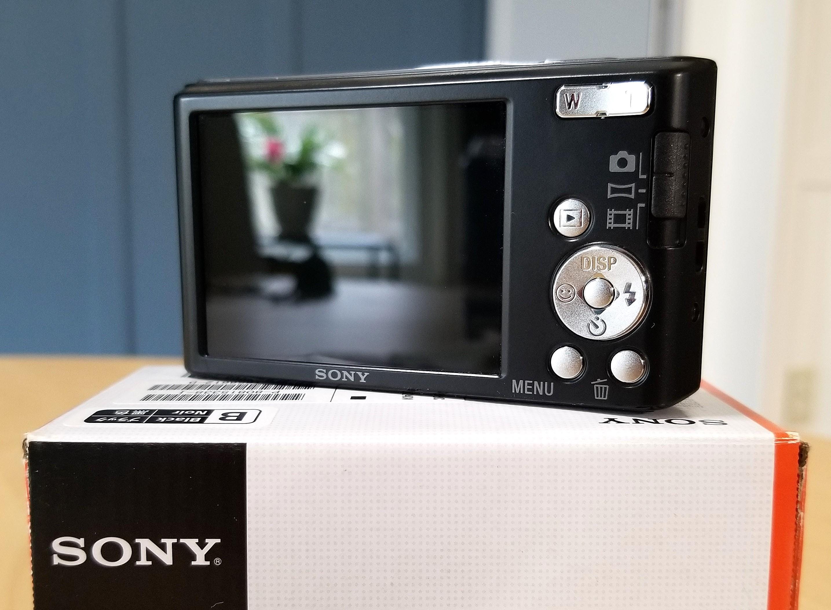 Sony Cyber-shot DSC-W830 20.1 MP Digital Camera - 8x Zeiss Zoom