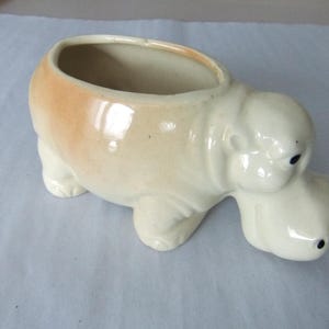 May include: A ceramic planter shaped like a hippopotamus. The planter is off-white with a tan gradient on the top. It has small black dots for eyes and is designed with four legs and a rounded body.