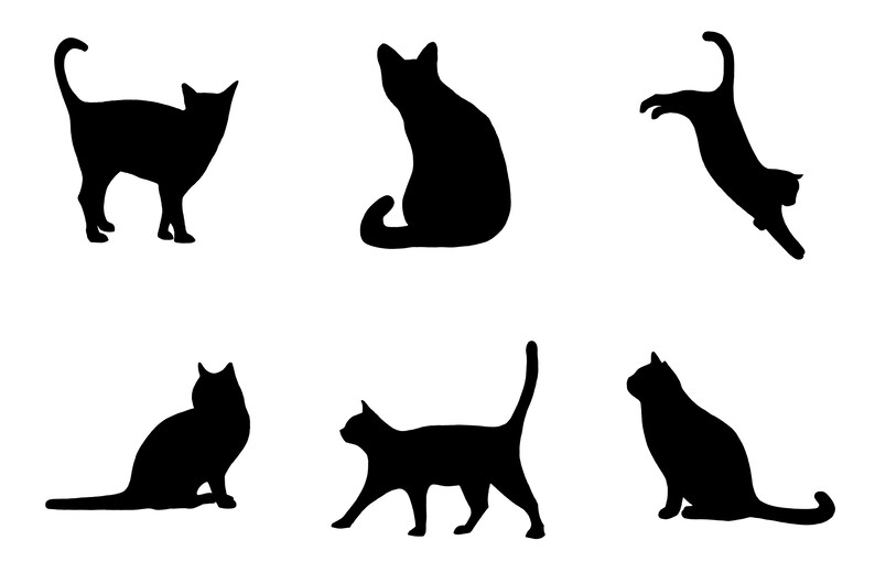 Black Cat Design Set of 6 Digitally Printed Onto 15cm X 15cm Etsy