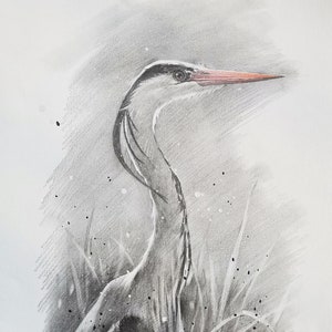 Original artwork Pencil animal,fine art charcoal sketch on paper,heron black whiter,color pencil