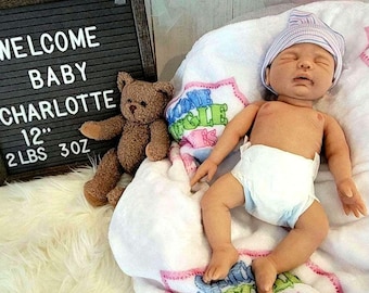 May include: A sleeping newborn doll wearing a white diaper and a striped blue and white beanie, resting on a white blanket next to a brown teddy bear and a black letter board that reads WELCOME BABY CHARLOTTE 12" 2 LBS 3 OZ.