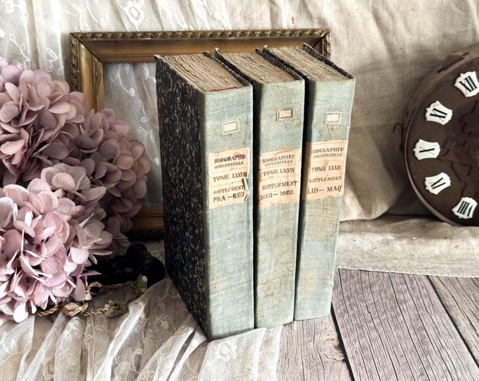 Set of 3 Antique French Hardback Books with Ruffled Pages - 19th Century - Rag Paper