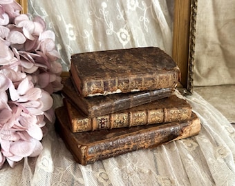 Set of 4 Antique French Leather Bound Books - Bookshelf Decor - 18th Century