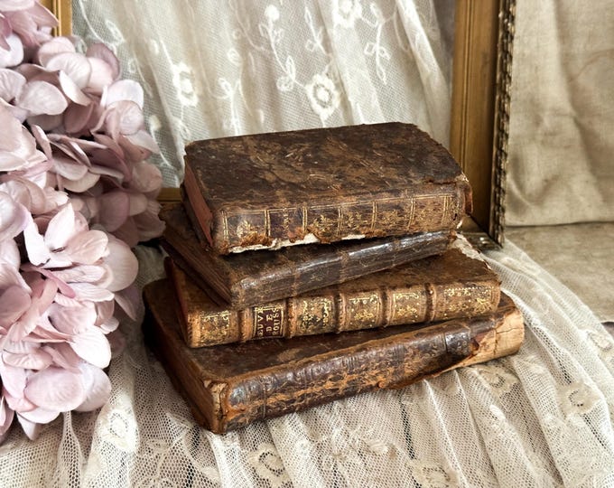 Set of 4 Antique French Leather Bound Books - Bookshelf Decor - 18th Century
