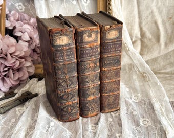 1713 Set of 3 Antique French Leather Bound Books - Bookshelf Decor