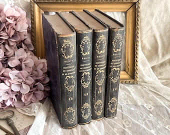 Set of 4 Antique French Books - Bookshelf Decor Display