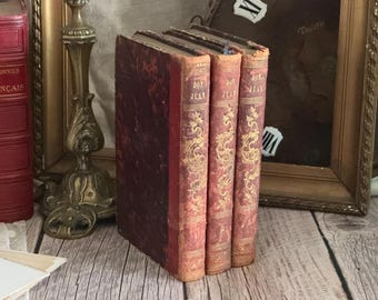 Set of 3 Antique Leather Bound Books 19th Century - Bookshelf Decor - Don Juan