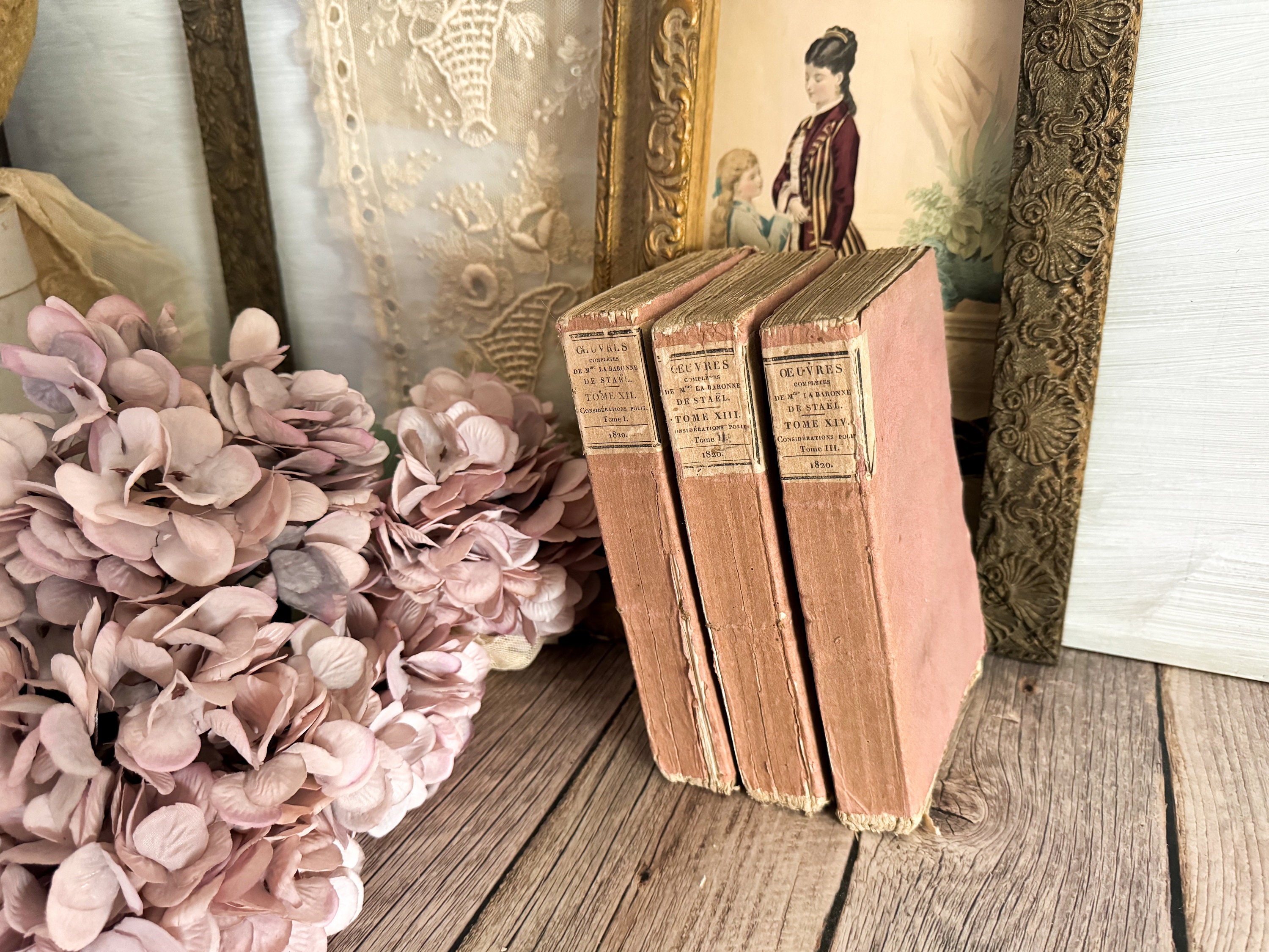 Shabby Pink Old French Book Set.