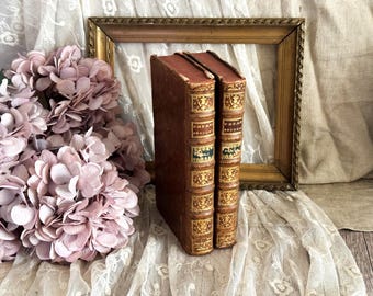 Set of 2 Antique French Leather Bound Books - Bookshelf Decor - 18th Century