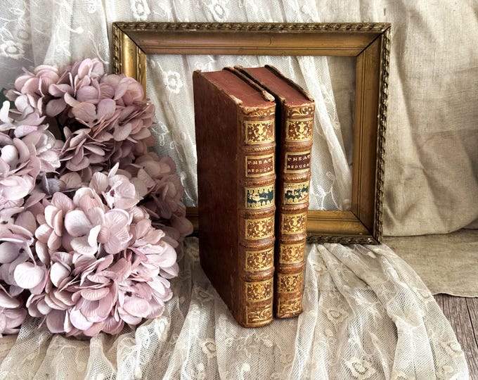 Set of 2 Antique French Leather Bound Books - Bookshelf Decor - 18th Century