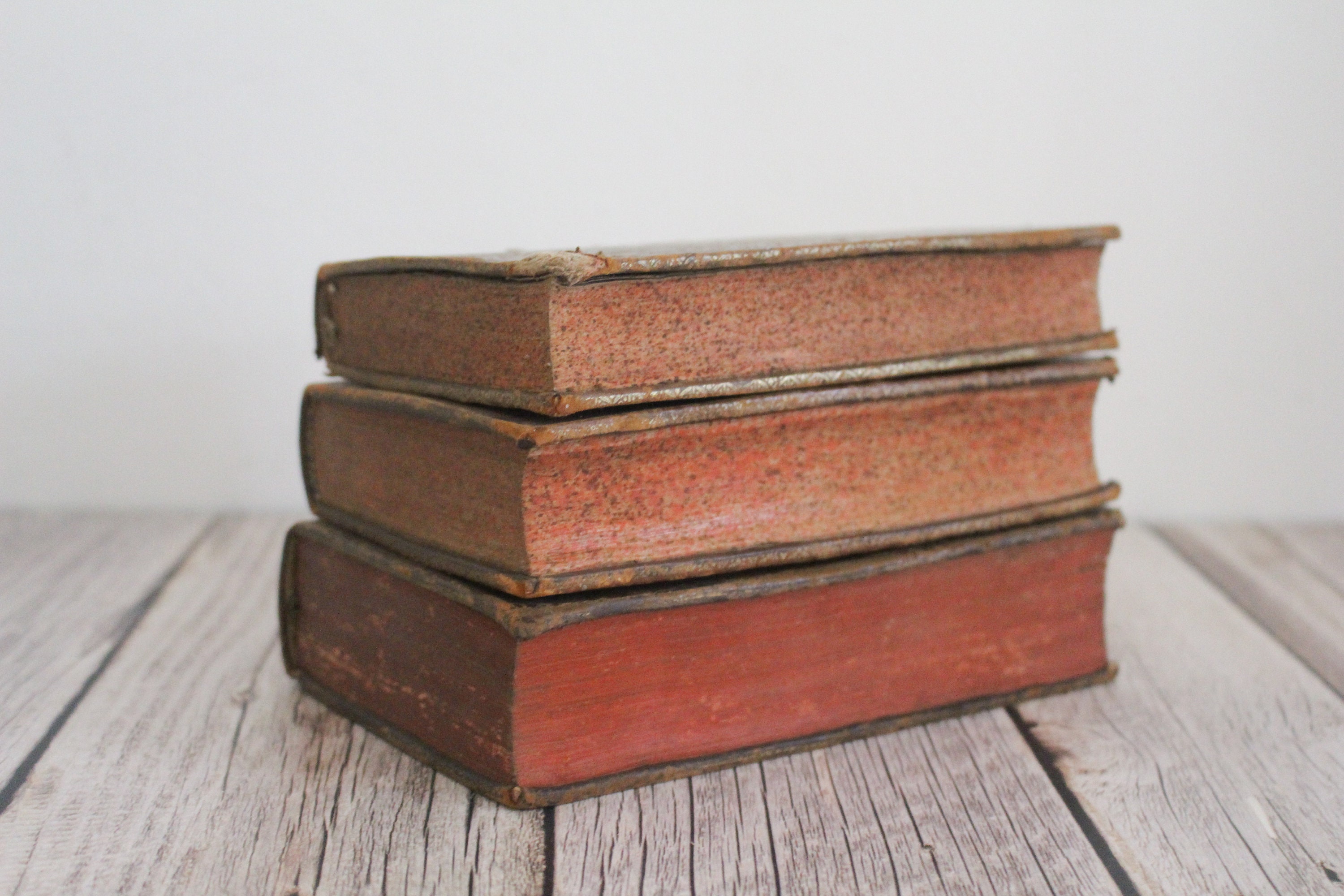 A Collection of French Antique & Vintage Burgundy Leather Bound