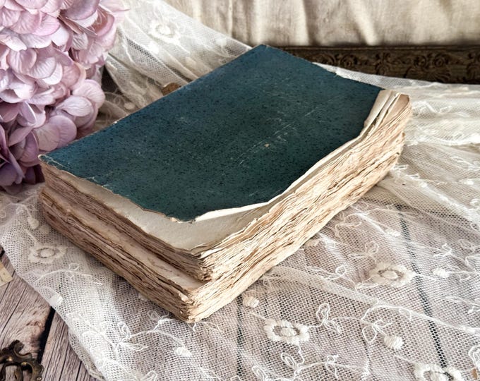Antique French Blue Paperback Book with Ruffled Pages - 19th Century - Rag Paper