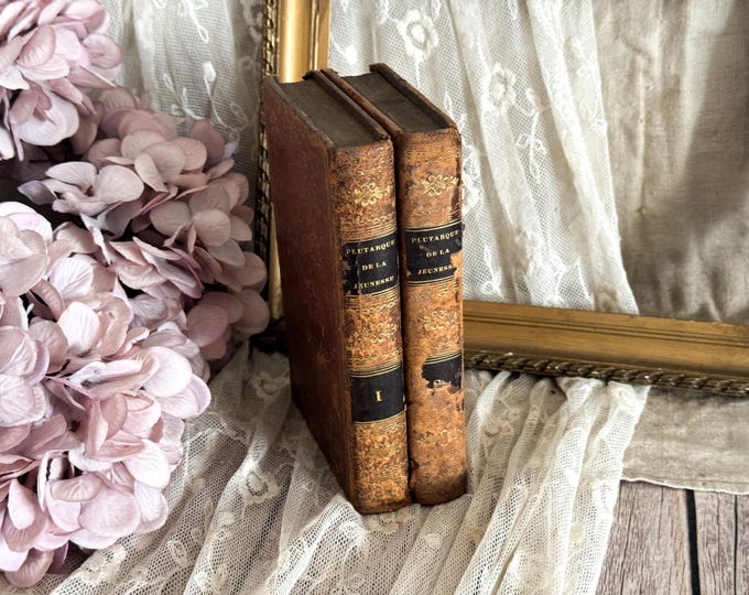 Set of 2 Antique French Leather Bound Books - Bookshelf Decor - 19th Century