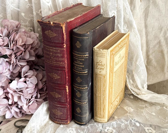 Set of 3 Vintage French Books - Decorative Book Cover - Bookshelf Decor